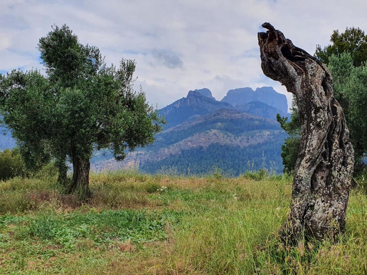 Apartamentos La Venta Del Rome Horta de Sant Joan Exteriör bild